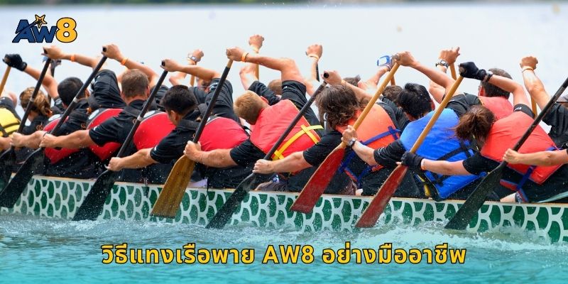 วิธีแทงเรือพาย AW8 อย่างมืออาชีพ